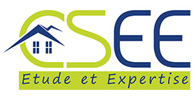 CSEE Logo